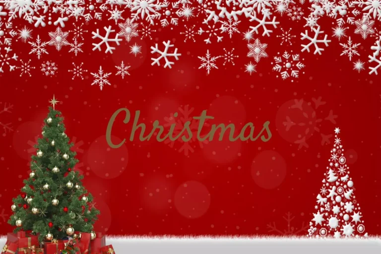 Chicago skyline during Christmas with holiday lights