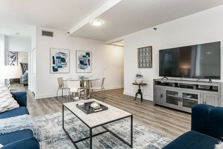 furnished luxury flats